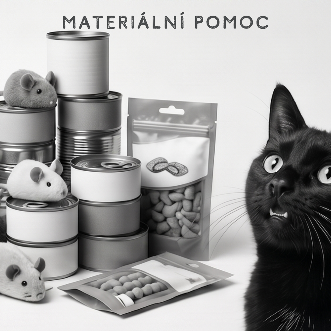 Materiální pomoc